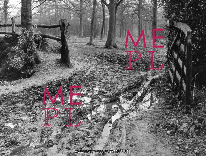 : MUDDY GATEWAY : MUDDY GATEWAY