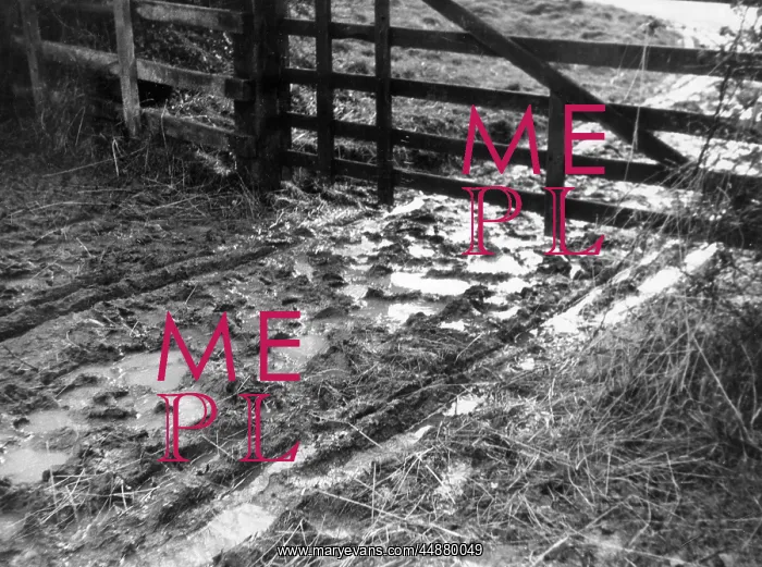 : MUDDY GATEWAY : MUDDY GATEWAY
