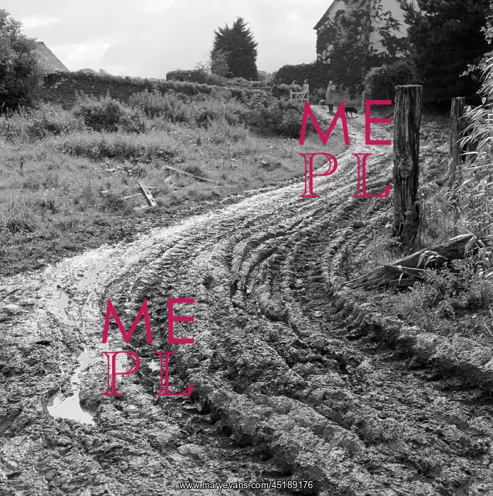 : Muddy Track : Muddy Track