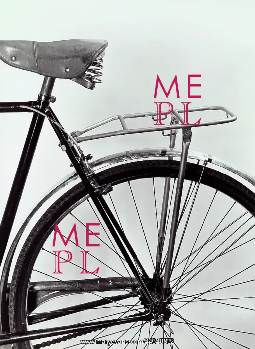 : Mudguard, seat and rear tire : Mudguard, seat and rear tire
