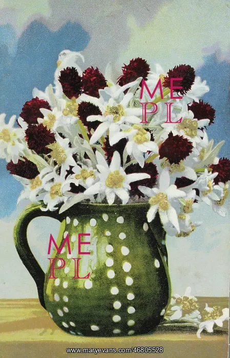 : Mug with Edelweiss : Mug with Edelweiss
