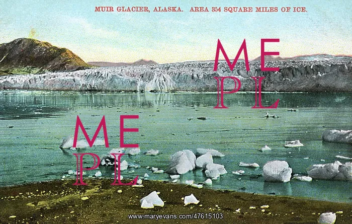  : Muir Glacier, Alaska, USA