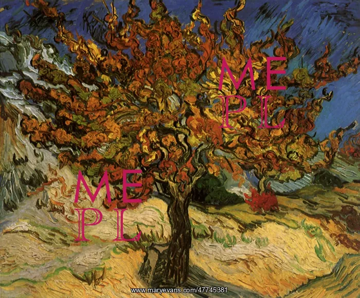: The Mulberry Tree, by Van Gogh : The Mulberry Tree, by Van Gogh