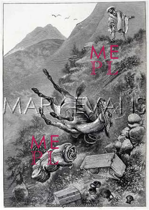 : MULE / ACCIDENT / ANDES / 1892 : MULE / ACCIDENT / ANDES / 1892