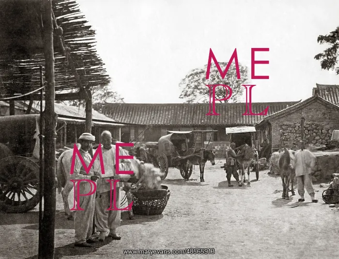  : Mule carts, China, circa 1880s