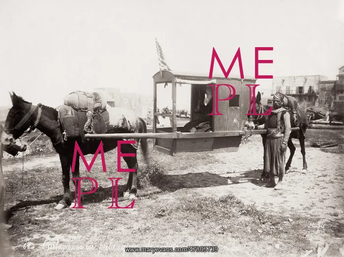: Mule drawn palanquin, sedan chair, carrying chair, Egypt : Mule drawn palanquin, sedan chair, carrying chair, Egypt