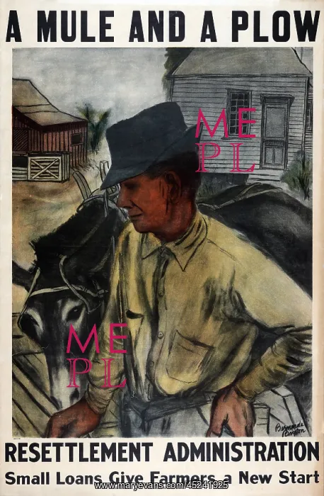 : A Mule and a Plow. Resettlement Administration- ? : A Mule and a Plow. Resettlement Administration- ?