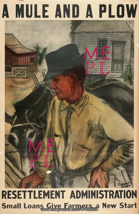 : A mule and a plow - Resettlement Administration - Small loan : A mule and a plow - Resettlement Administration - Small loan