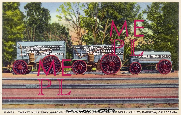 : Twenty mule team wagons used for hauling borax : Twenty mule team wagons used for hauling borax