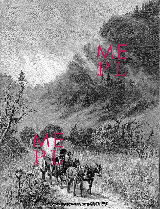 : Mule wagon passing through the Cumberland Gap : Mule wagon passing through the Cumberland Gap