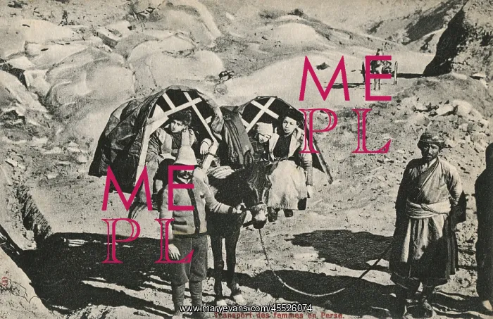 : Mules carry children in pannier seats : Mules carry children in pannier seats