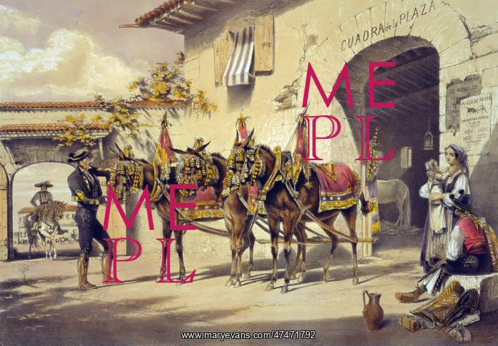 : Mules of the Plaza de Toros : Mules of the Plaza de Toros
