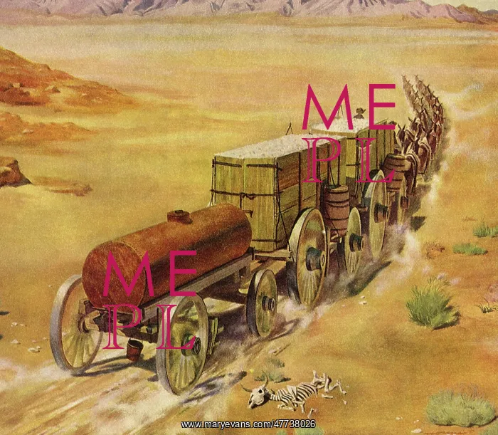  : Mules pulling Supplies across Desert