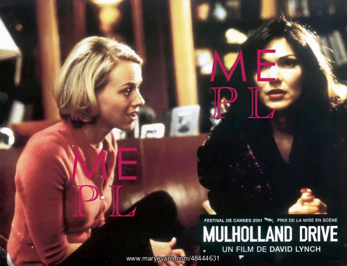 : MULHOLLAND DRIVE : MULHOLLAND DRIVE