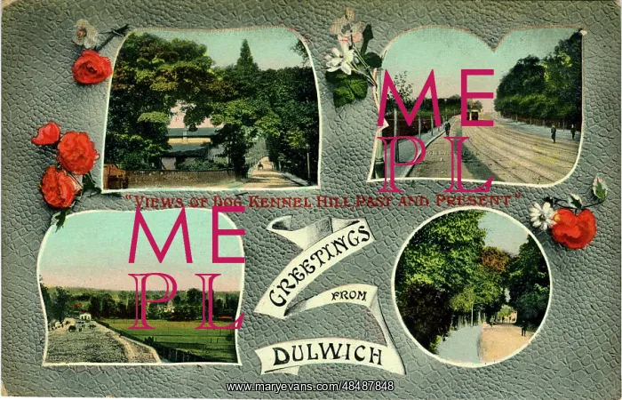 : Mulitiview, Dulwich, Southwalk, England : Mulitiview, Dulwich, Southwalk, England