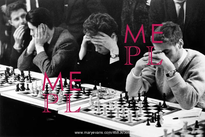 : MULTI-BOARD CHESS GAME : MULTI-BOARD CHESS GAME