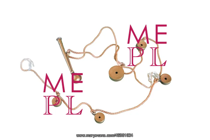  : Multi Toned Bird Whistles