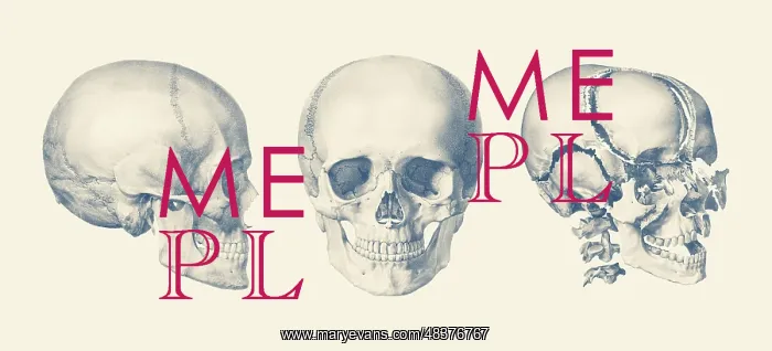 : A multi view of the human skull, showing the bone breakdown : A multi view of the human skull, showing the bone breakdown
