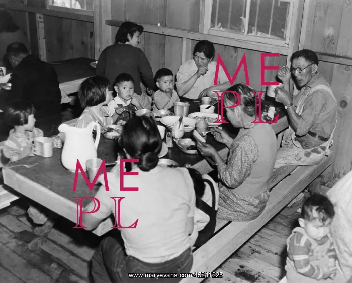 : Multiple generations of Japanese Americans ? : Multiple generations of Japanese Americans ?