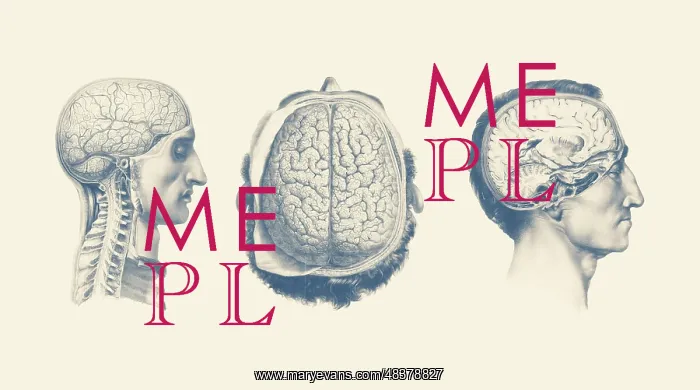 : Multiple views of a male's brain : Multiple views of a male's brain