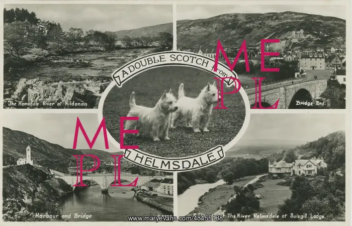  : Multiview, Helmsdale, Sutherland, Scotland