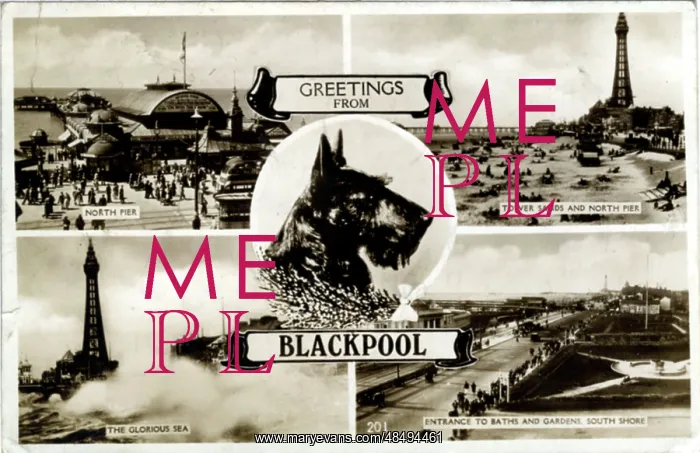 : Multiview, Blackpool, Lancashire : Multiview, Blackpool, Lancashire