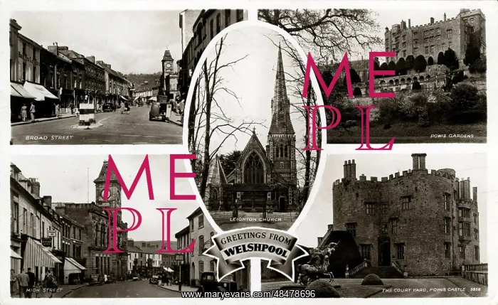 : Multiview Card, Welshpool, Montgomeryshire : Multiview Card, Welshpool, Montgomeryshire