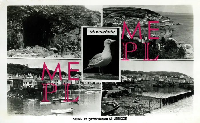 : Multiview, Mousehole, Cornwall : Multiview, Mousehole, Cornwall