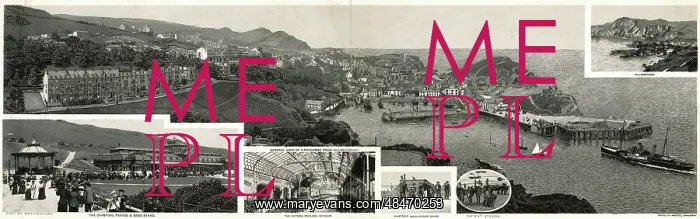 : Multiview panoramic postcard of Ilfracombe, Devon : Multiview panoramic postcard of Ilfracombe, Devon