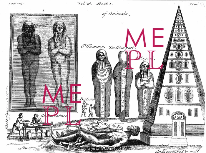 : Mummies and embalming. From P Pomet A Compleat : Mummies and embalming. From P Pomet A Compleat