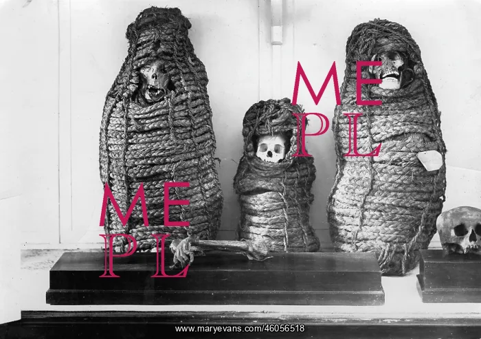 : Mummies of the old Peru : Mummies of the old Peru