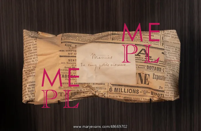 : Mummies, Petit Musee, Maison de Pierre Loti, Rochefort : Mummies, Petit Musee, Maison de Pierre Loti, Rochefort