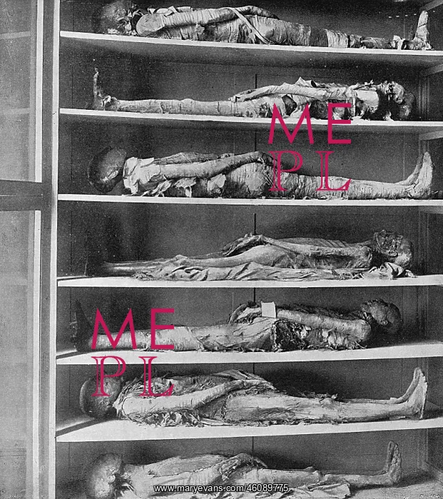 : Mummies of priests, Gizeh Museum, Egypt : Mummies of priests, Gizeh Museum, Egypt