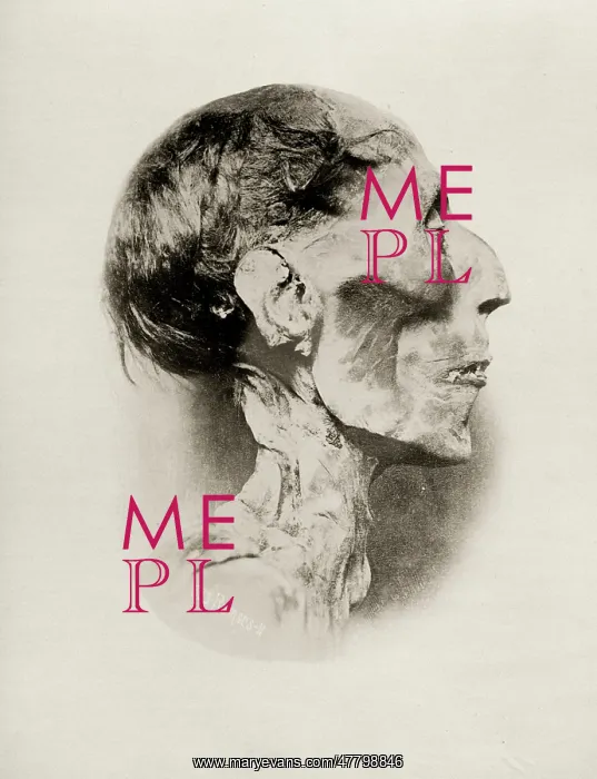 : Mummified head of Egyptian Pharaoh, Ramses II : Mummified head of Egyptian Pharaoh, Ramses II