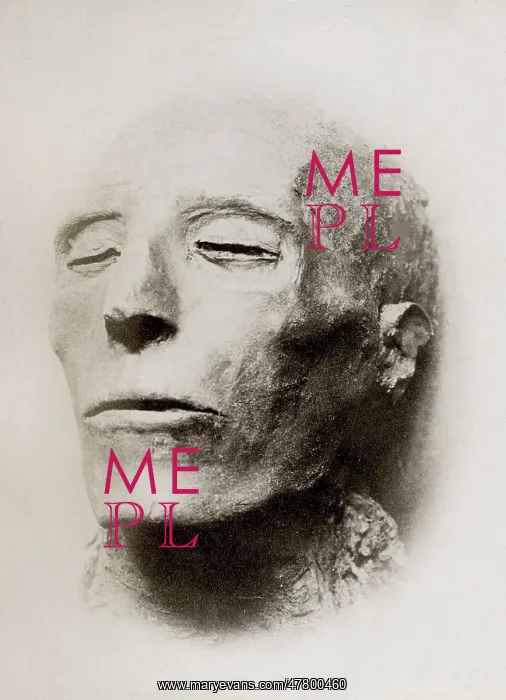 : mummified head of King Seti I, pharaoh : mummified head of King Seti I, pharaoh