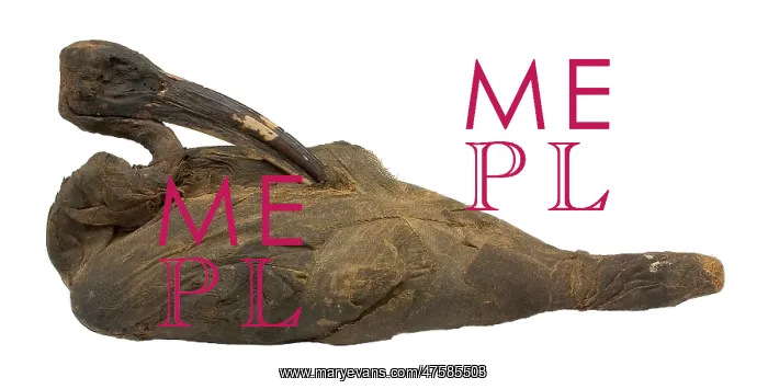 : Mummified sacred ibis, partially unwrapped : Mummified sacred ibis, partially unwrapped