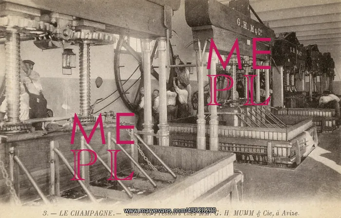  : MUMM'S PRESSES