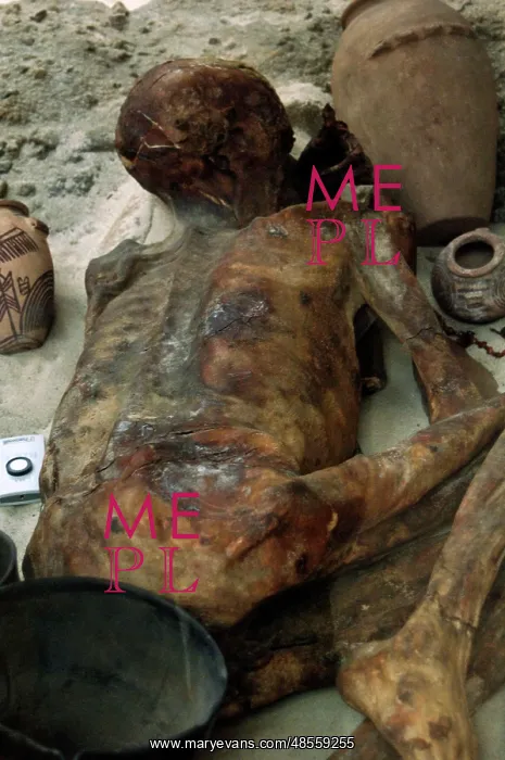 : Mummy Ginger : Mummy Ginger