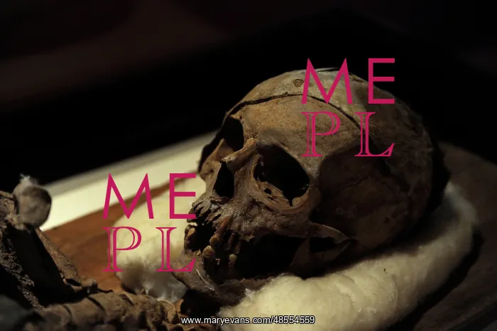 : Mummy of King Tabnit (about 500 BC) : Mummy of King Tabnit (about 500 BC)