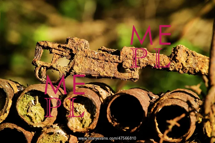 : Munitions in a private garden - Somme Battlefield : Munitions in a private garden - Somme Battlefield