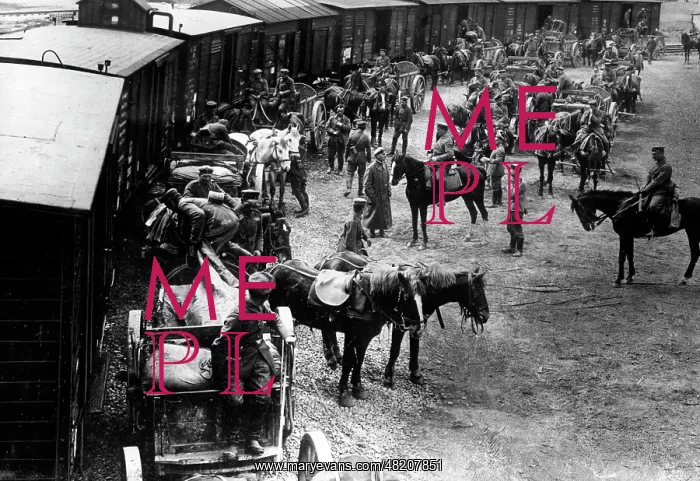: Munitions transport on the Western Front, 1917 : Munitions transport on the Western Front, 1917