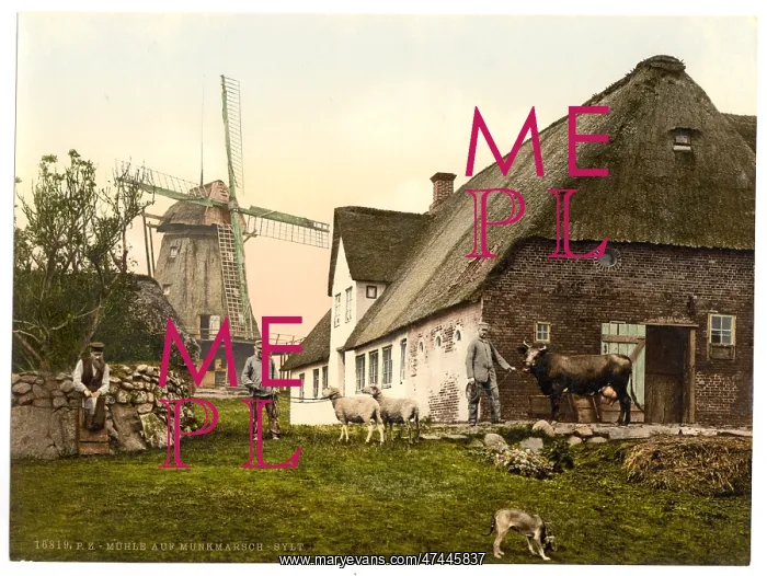 : The mill at Munkmarsch, Sylt, Schleswig-Holstein, Germany : The mill at Munkmarsch, Sylt, Schleswig-Holstein, Germany