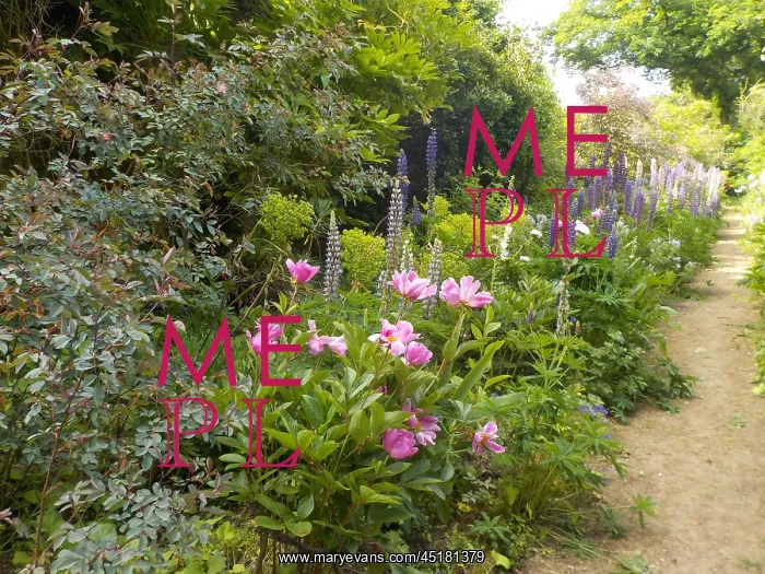 : Munstead Wood - The Three Corner Garden : Munstead Wood - The Three Corner Garden