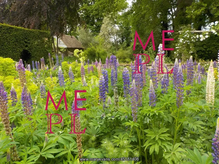 : Munstead Wood - The Three Corner Garden : Munstead Wood - The Three Corner Garden