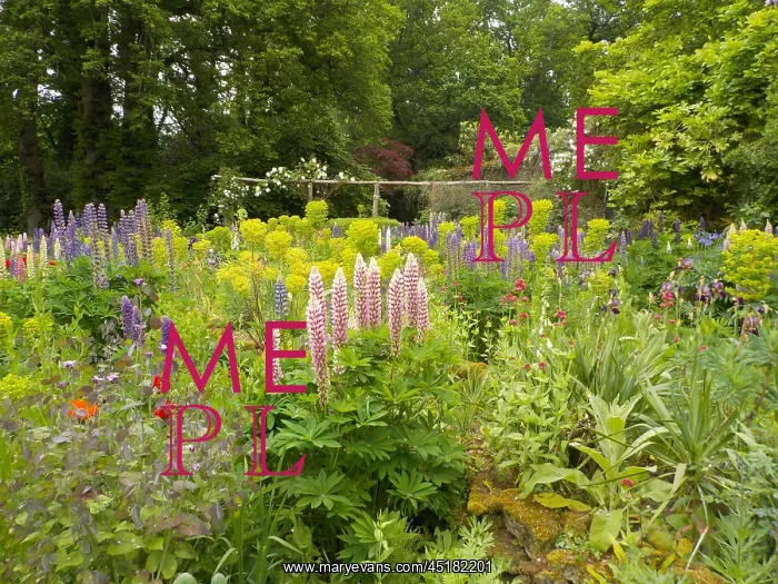: Munstead Wood - The Three Corner Garden : Munstead Wood - The Three Corner Garden