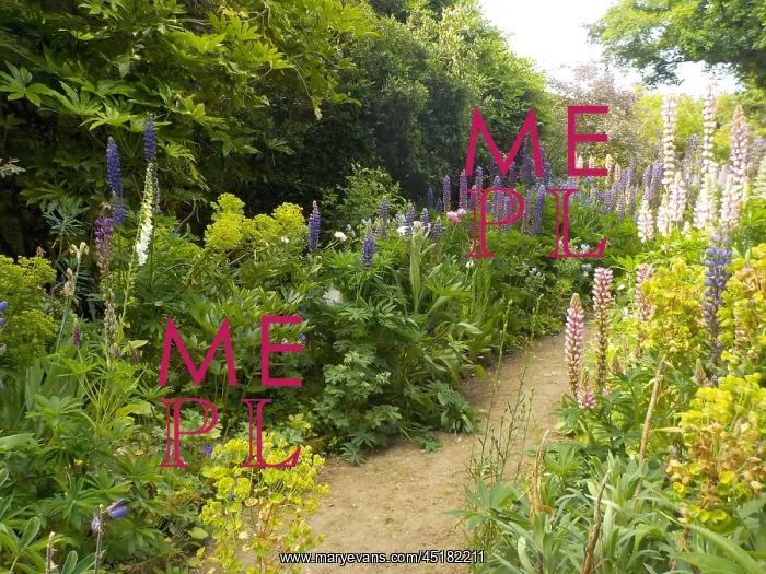 : Munstead Wood - The Three Corner Garden : Munstead Wood - The Three Corner Garden