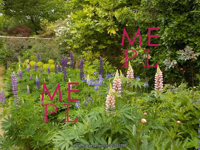 : Munstead Wood - The Three Corner Garden : Munstead Wood - The Three Corner Garden