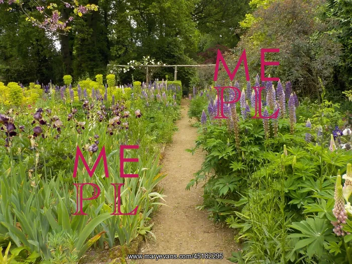 : Munstead Wood - The Three Corner Garden : Munstead Wood - The Three Corner Garden