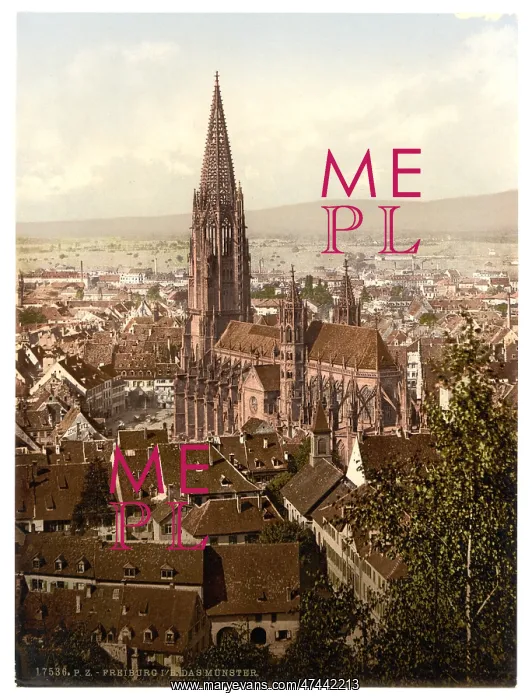 : The Munster, Freiburg, Baden, Germany : The Munster, Freiburg, Baden, Germany