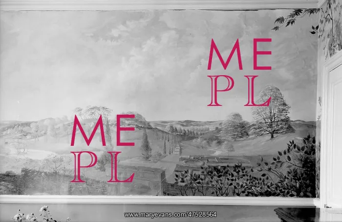  : Murals of Mr de Muth